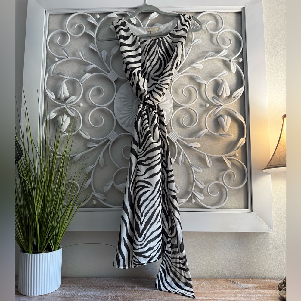 Banana Republic Zebra Print Sleeveless Dress
